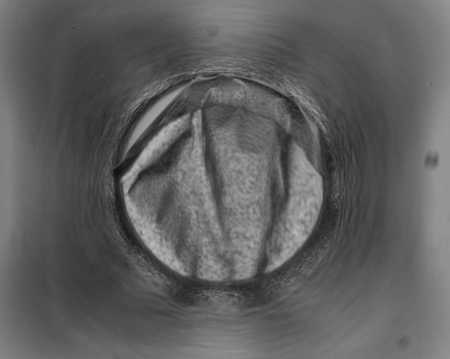 X0000099470681200805301556