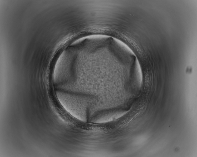 X0000099470682200805301556