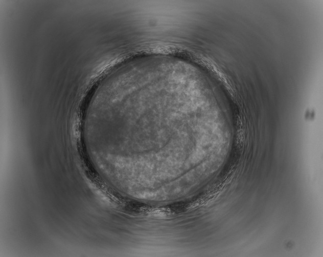 X0000099470683200805301556