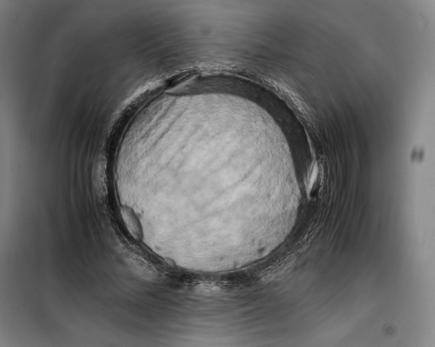 X0000099470684200805301556