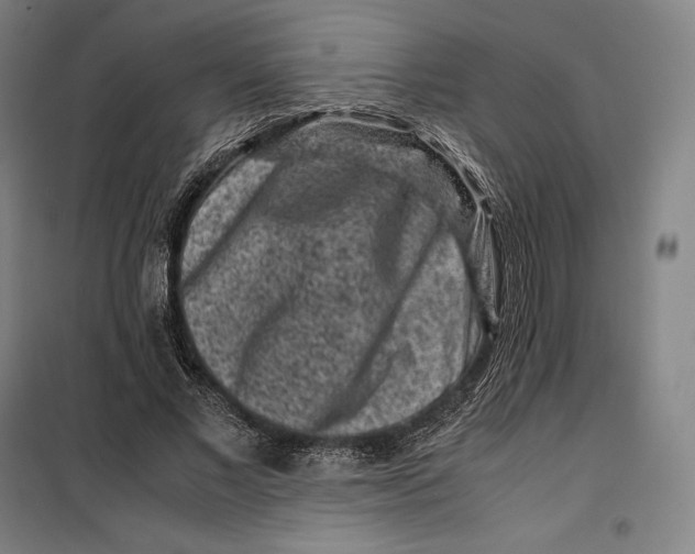 X0000099470685200805301556