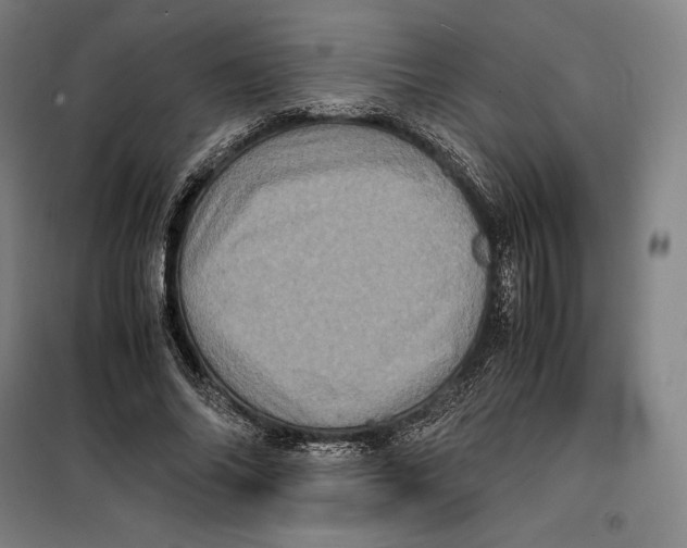 X0000099470686200805301556