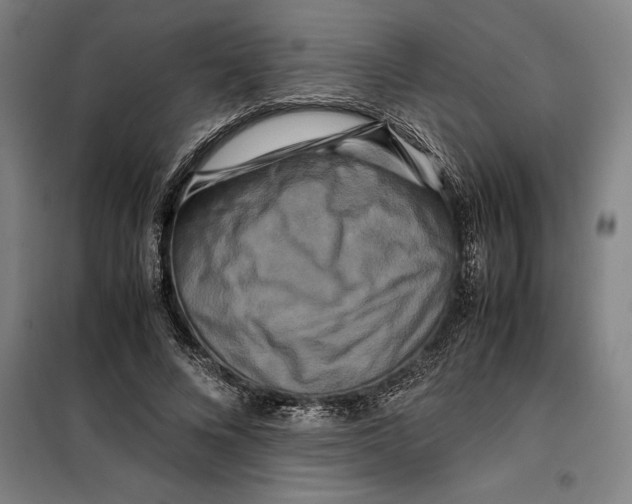 X0000099470688200805301556