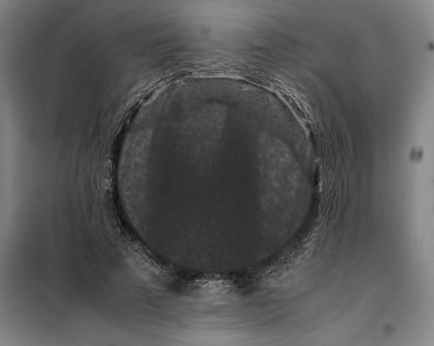 X0000099470689200805301556