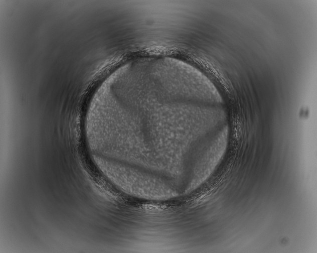 X0000099470690200805301556