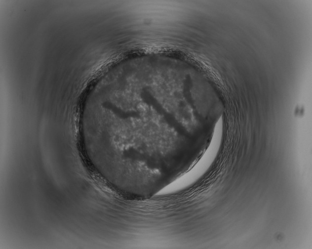 X0000099470691200805301556