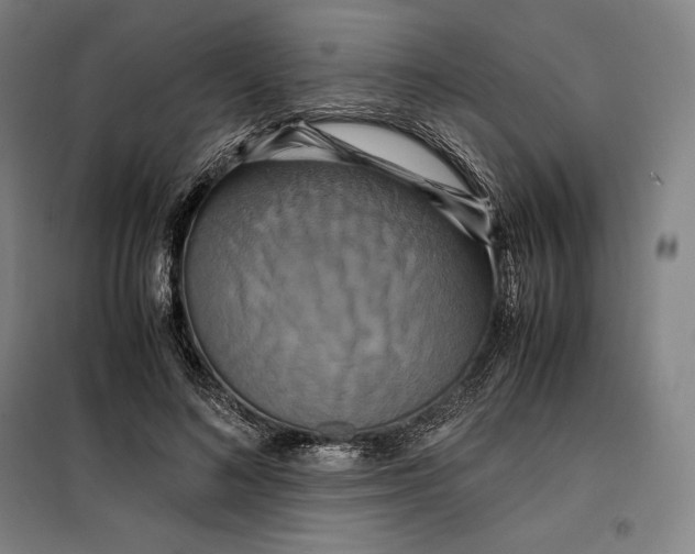 X0000099470692200805301556