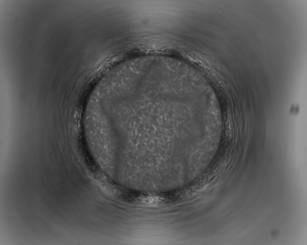 X0000099470695200805301556