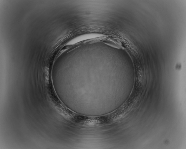 X0000099470696200805301556