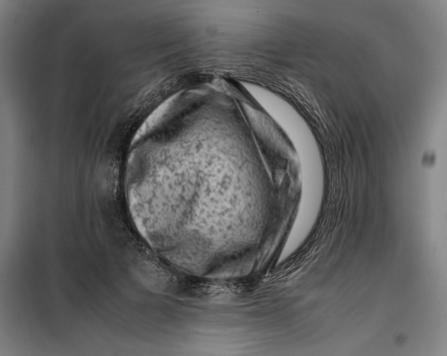 X0000099470697200805301556