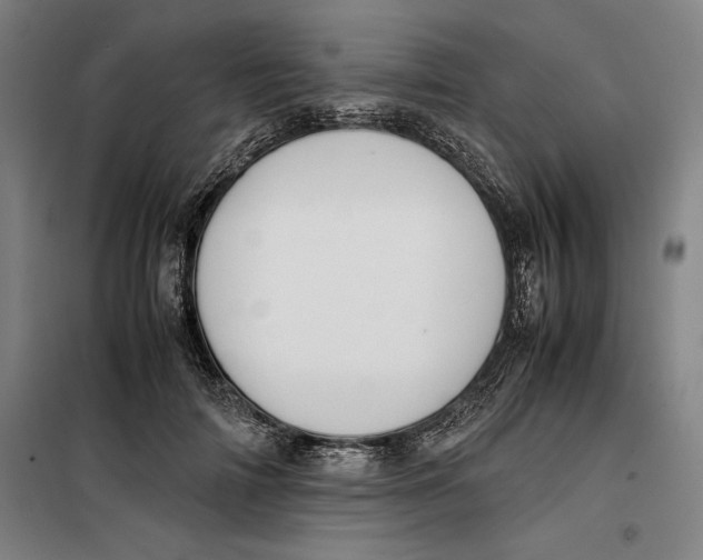 X0000099470698200805301556