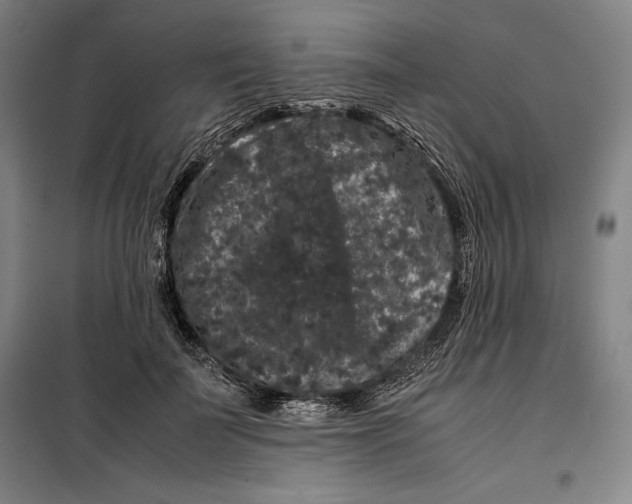 X0000099470699200805301556