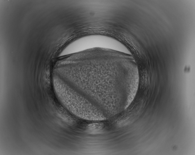 X0000099470700200805301556