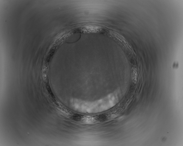 X0000099470701200805301556