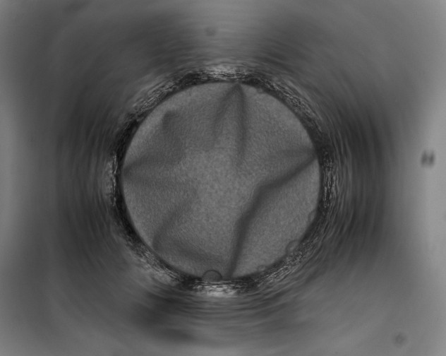 X0000099470702200805301556