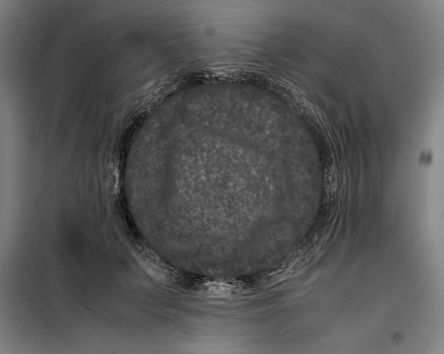 X0000099470703200805301556