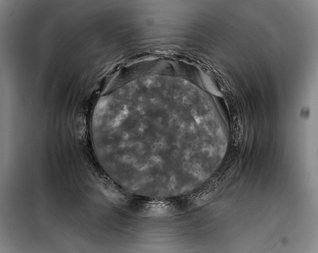 X0000099470704200805301556