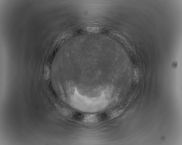 X0000099470705200805301556