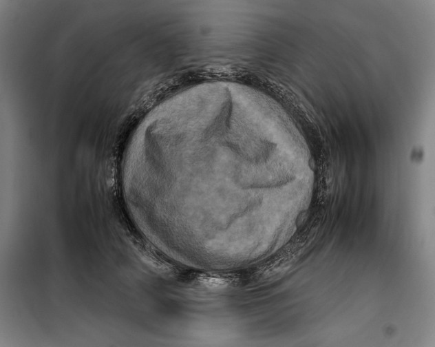 X0000099470706200805301556