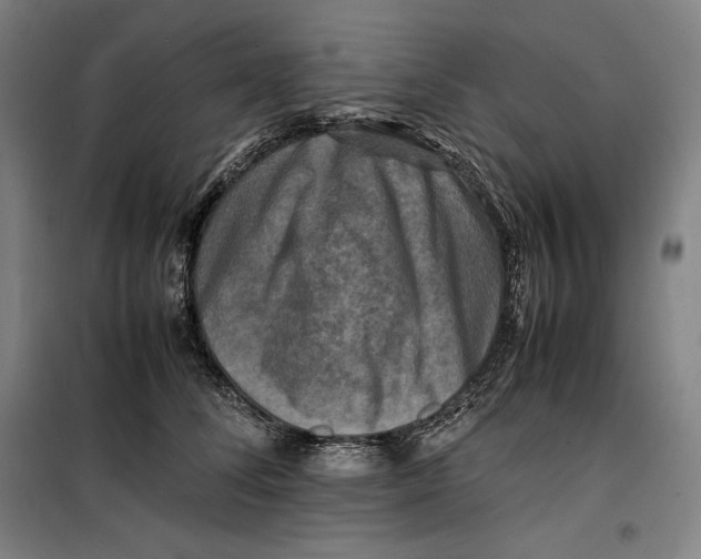 X0000099470708200805301556