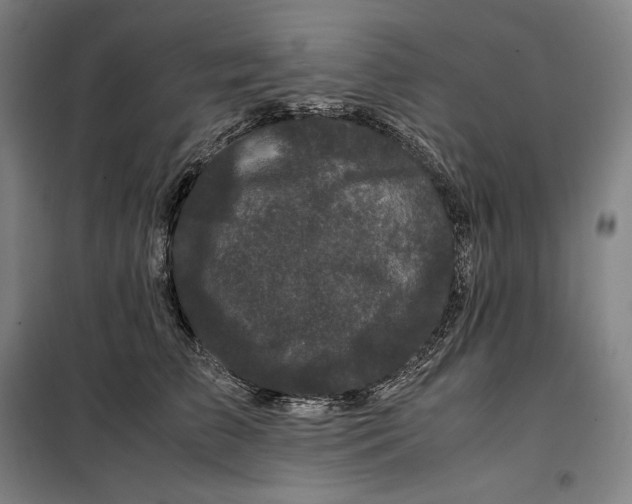 X0000099470709200805301556