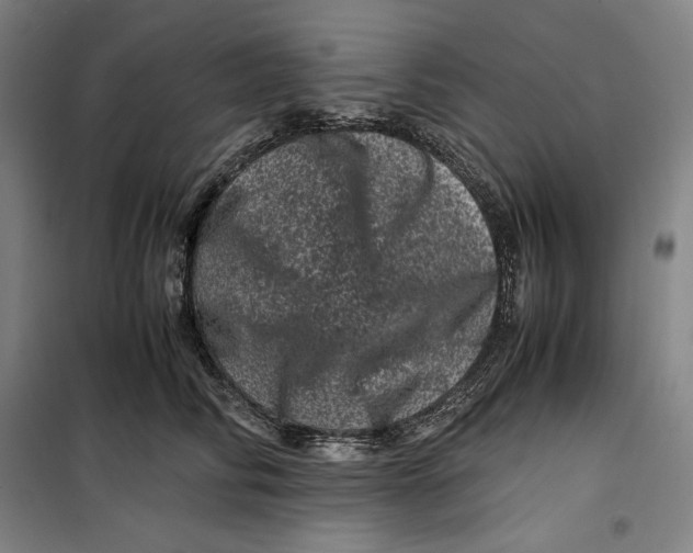 X0000099470710200805301556