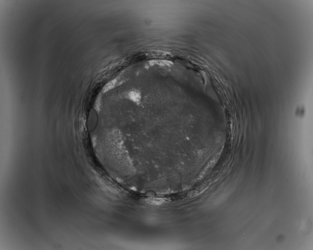 X0000099470711200805301556