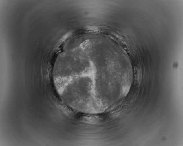 X0000099470712200805301556