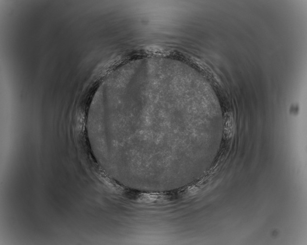 X0000099470713200805301556