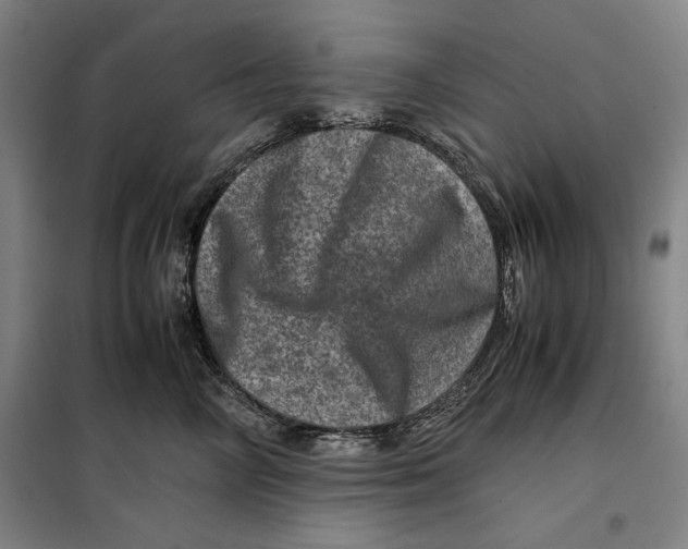 X0000099470714200805301556