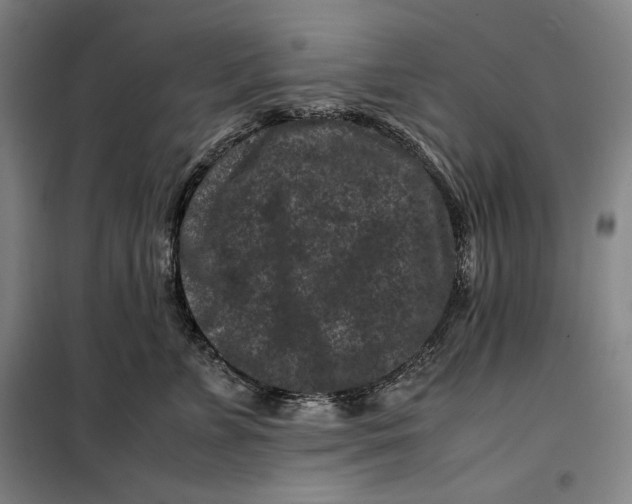 X0000099470715200805301556