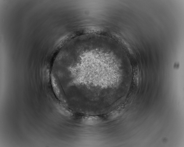 X0000099470716200805301556