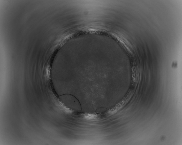 X0000099470718200805301556