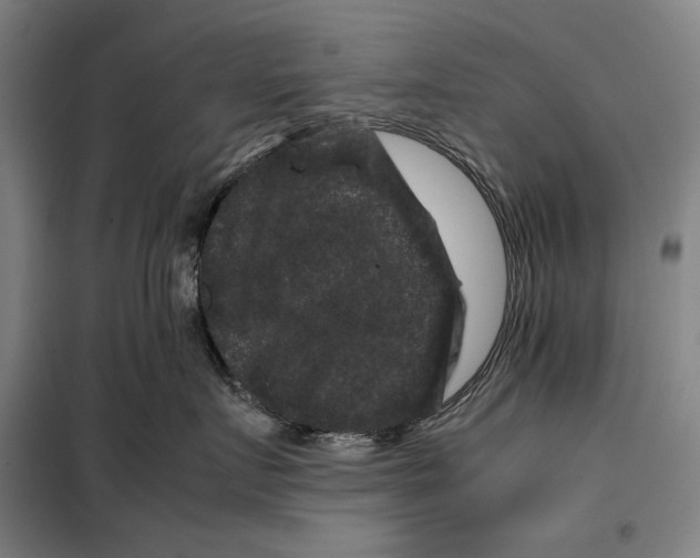 X0000099470719200805301556