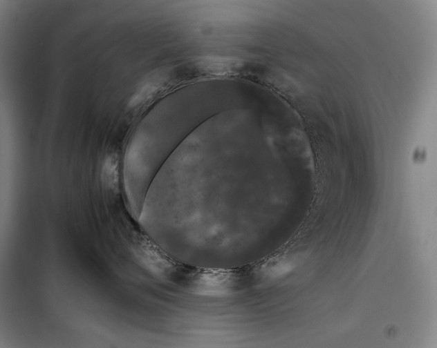 X0000099470720200805301556