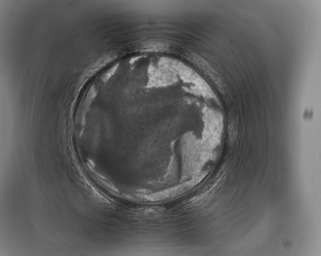 X0000099470721200805301555