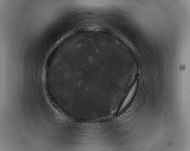 X0000099470722200805301555