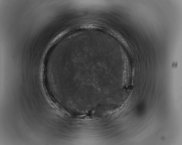 X0000099470724200805301555