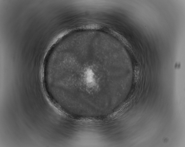 X0000099470726200805301555