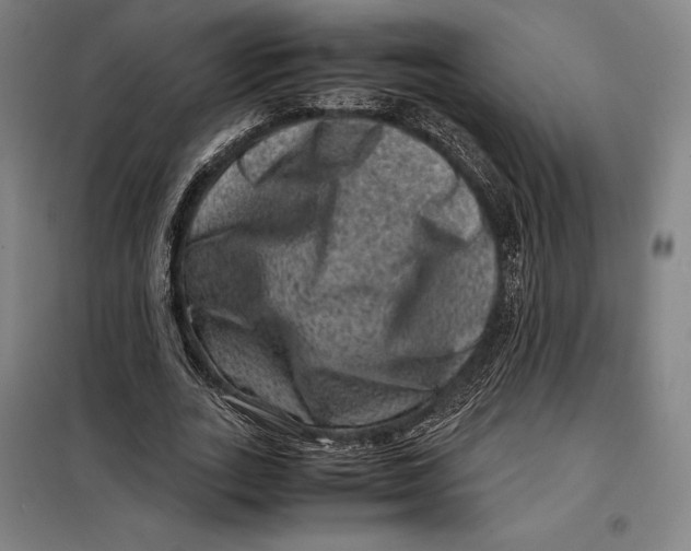 X0000099470727200805301555