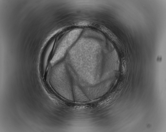 X0000099470728200805301555