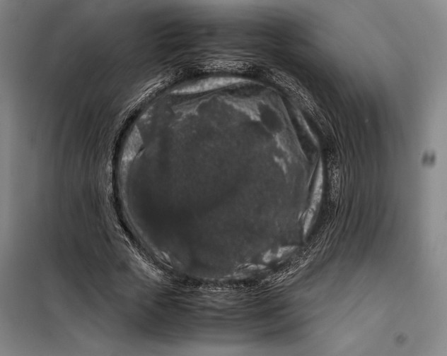 X0000099470729200805301555