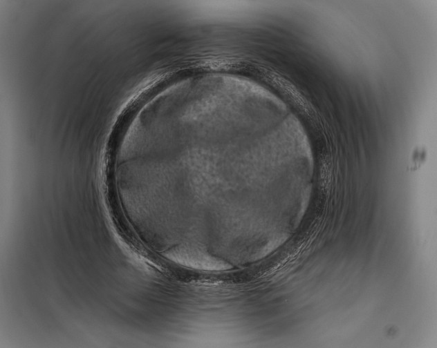 X0000099470730200805301555