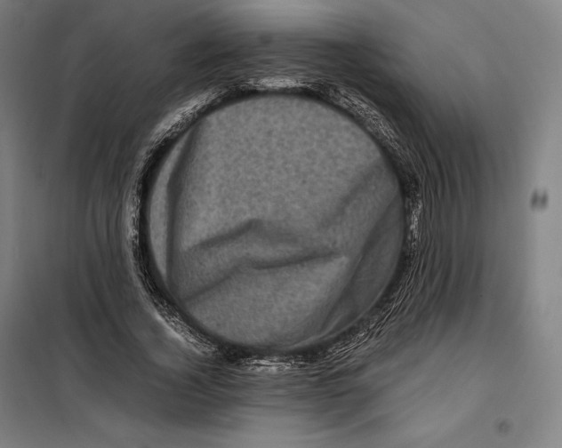 X0000099470732200805301555