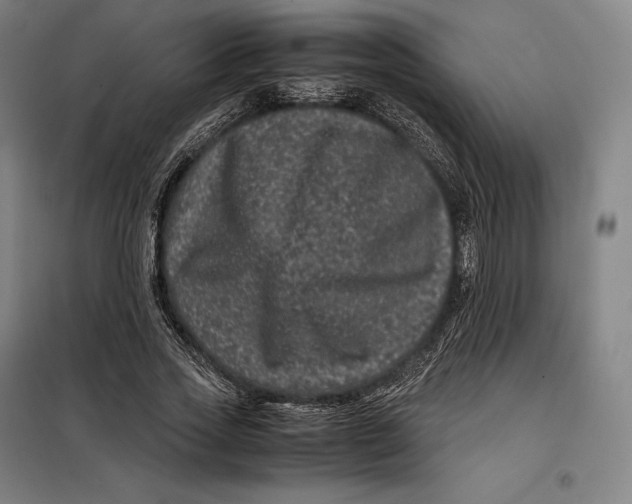 X0000099470733200805301555