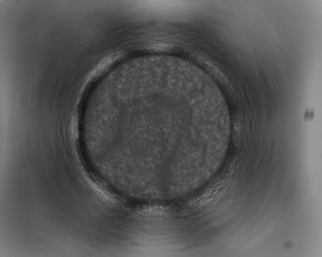 X0000099470734200805301555