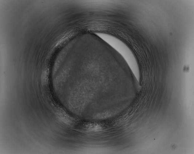 X0000099470735200805301555