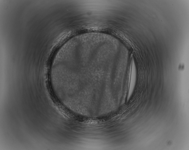 X0000099470738200805301555