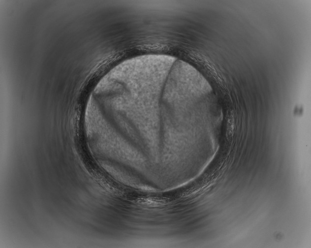 X0000099470739200805301555