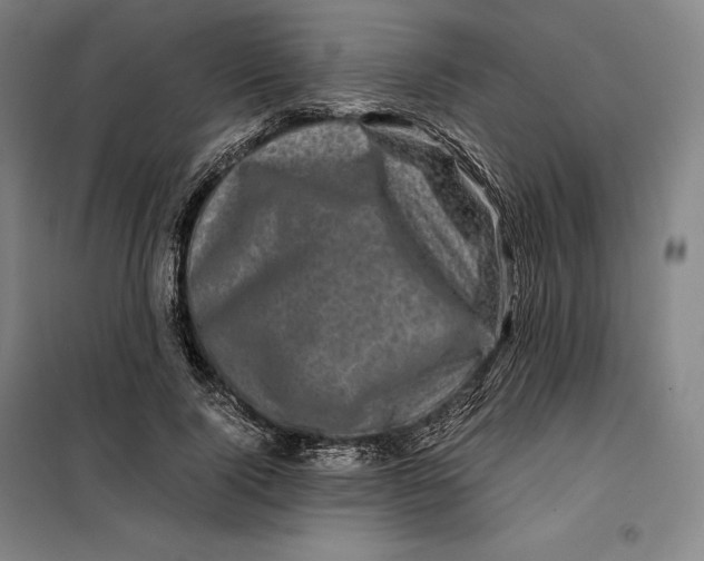 X0000099470740200805301555